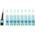 Tripp Lite Multimode Fiber Optic Breakout Cable 24F MTP/MPO-PC to x8 LC F/M 1M - 3.28 ft Fiber Optic Network Cable for Network Device, Transceiver, Network Switch, Patch Panel - First End: 1 x MTP/MPO...  - N846D-01M-24CAQ - eCommerce Business Prime