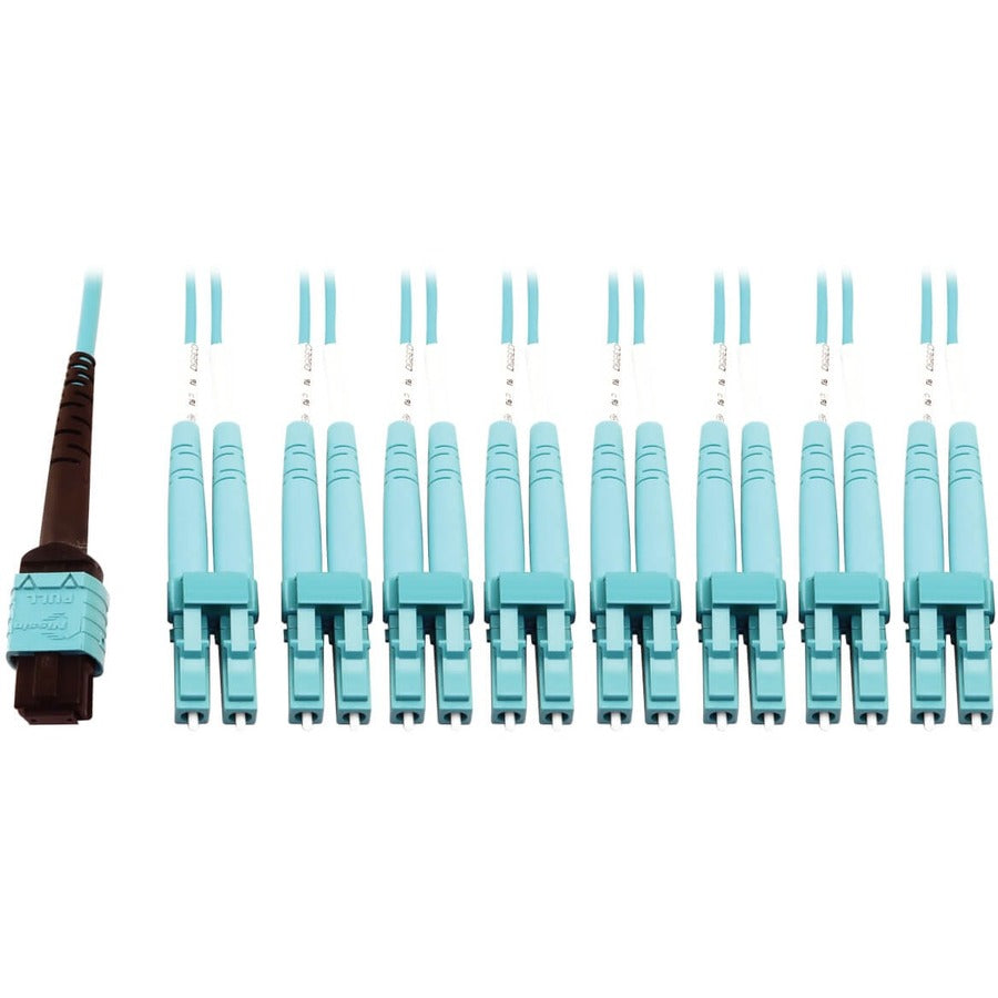 Tripp Lite Multimode Fiber Optic Breakout Cable 24F MTP/MPO-PC to x8 LC F/M 1M - 3.28 ft Fiber Optic Network Cable for Network Device, Transceiver, Network Switch, Patch Panel - First End: 1 x MTP/MPO...  - N846D-01M-24CAQ - eCommerce Business Prime