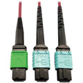 Tripp Lite Multimode Fiber Optic Cable MTP/MPO-APC to x2 12F MTP/MPO-UPC F/F 3M - 9.84 ft Fiber Optic Network Cable for Network Device, Transceiver, Network Switch, Patch Panel - First End: 1 x MTP/MP...  - N846D-03M-16DMG - eCommerce Business Prime