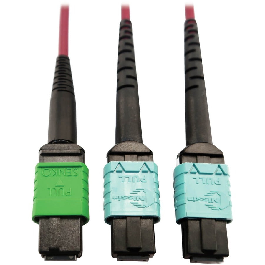 Tripp Lite Multimode Fiber Optic Cable MTP/MPO-APC to x2 12F MTP/MPO-UPC F/F 3M - 9.84 ft Fiber Optic Network Cable for Network Device, Transceiver, Network Switch, Patch Panel - First End: 1 x MTP/MP...  - N846D-03M-16DMG - eCommerce Business Prime