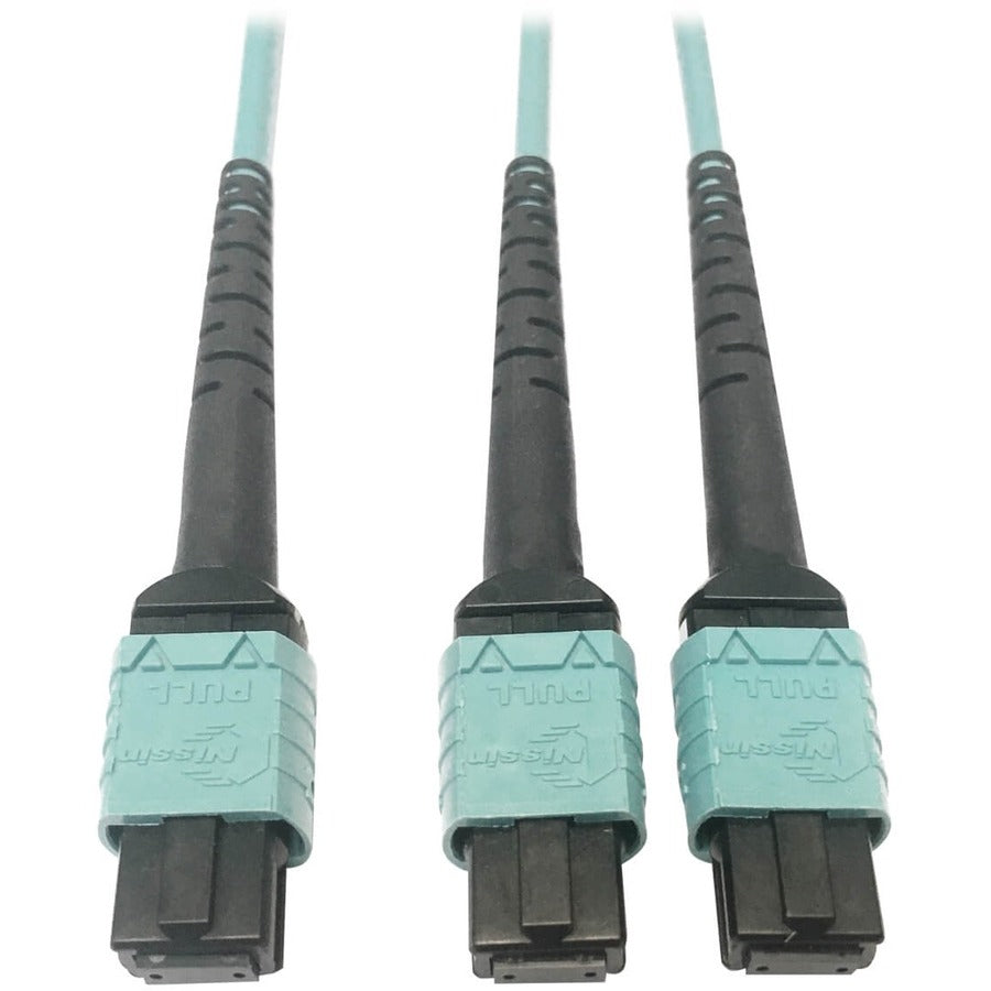Tripp Lite Multomode Fiber Optic Cable 24F MTP/MPO-PC to x2 12F MTP/MPO-PC F/F 3M - 9.84 ft Fiber Optic Network Cable for Network Device, Transceiver, Network Switch, Patch Panel - First End: 1 x MTP/...  - N846D-03M-24BAQ