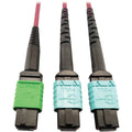 Tripp Lite Multimode Fiber Optic Cable MTP/MPO-APC to x2 12F MTP/MPO-UPC F/F 5M - 16.40 ft Fiber Optic Network Cable for Network Device, Transceiver, Network Switch, Patch Panel - First End: 1 x MTP/M...  - N846D-05M-16DMG - eCommerce Business Prime