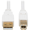 Tripp Lite Safe-IT USB-A to USB-B Antibacterial Cable (M/M), USB 2.0, White, 6 ft. - 6 ft USB/USB-B Data Transfer Cable for Computer, Notebook, Multimedia Device, Scanner, Printer, Hub, Peripheral Dev...  - U022AB-006-WH - eCommerce Business Prime