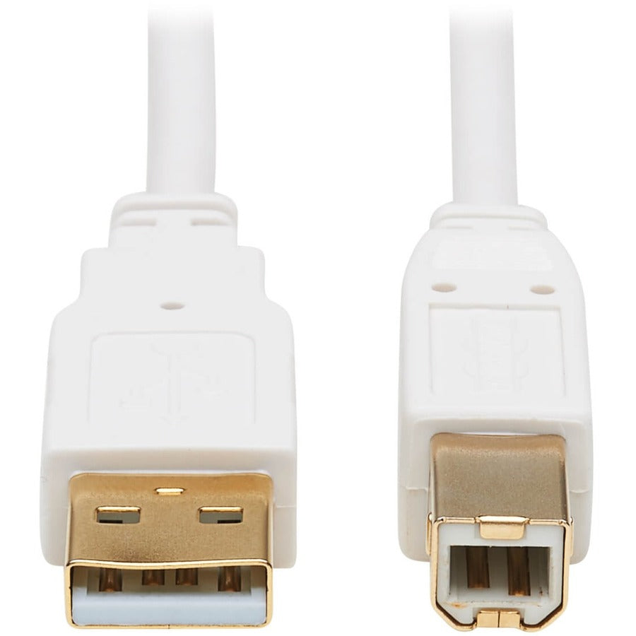 Tripp Lite Safe-IT USB-A to USB-B Antibacterial Cable (M/M), USB 2.0, White, 10 ft. - 10 ft USB/USB-B Data Transfer Cable for Computer, Notebook, Multimedia Device, Scanner, Printer, Hub, Peripheral D...  - U022AB-010-WH - eCommerce Business Prime
