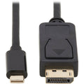Tripp Lite USB C to DisplayPort Adapter Cable Bi-Directional 4K HDR M/M 3ft - 3 ft DisplayPort/USB-C A/V Cable for Audio/Video Device, Monitor, Desktop Computer, TV, Projector, PC, Tablet, Notebook, M...  - U444-003-DP-BD - eCommerce Business Prime