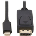 Tripp Lite USB C to DisplayPort Adapter Cable Bi-Directional 4K M/M 10ft - 10 ft DisplayPort/USB-C A/V Cable for Audio/Video Device, Monitor, Desktop Computer, TV, Projector, PC, Tablet, Notebook, Mac...  - U444-010-DP-BD - eCommerce Business Prime