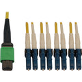 Tripp Lite Switchable Fiber Cable SMF 12F MTP/MPO-APC to 4x LC/UPC F/M 2M - 6.56 ft Fiber Optic Network Cable for Switch, Patch Panel, Network Device - First End: 1 x MTP/MPO Network - Female - Second - N390X-02M-8L-AP - eCommerce Business Prime