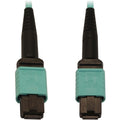 Tripp Lite Fiber Optic Cable 40/100/400G MMF 50 OM3 12F MTP/MPO-PC F/F 2M - 6.56 ft Fiber Optic Network Cable for Network Device, Patch Panel, Switch - First End: 1 x MTP/MPO Network - Female - Second - N844B-02M-12-P - eCommerce Business Prime