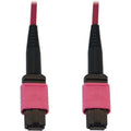 Tripp Lite Fiber Optic Cable 100G MMF 50/125 OM4 12F MTP/MPO-PC LSZH F/F 2M - 6.56 ft Fiber Optic Network Cable for Network Device, Patch Panel, Switch - First End: 1 x MTP/MPO Network - Female - Seco - N845B-02M-12-MG - eCommerce Business Prime