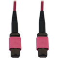 Tripp Lite Fiber Optic Cable 100G MMF 50/125 OM4 12F MTP/MPO-PC F/F 25M - 82.02 ft Fiber Optic Network Cable for Network Device, Patch Panel, Switch - First End: 1 x MTP/MPO Network - Female - Second  - N845B-25M-12-MG - eCommerce Business Prime
