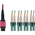 Tripp Lite Fiber Cable 40/100G MMF OM4 12F MTP/MPO-PC to 4x LC/PC F/M 1M - 3.28 ft Fiber Optic Network Cable for Network Device, Patch Panel, Switch - First End: 1 x MTP/MPO Network - Female - Second  - N845X-01M-8L-MG - eCommerce Business Prime