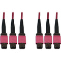 Tripp Lite Fiber Optic Cable 40/100/400G MMF 50 OM4 3x8F MTP/MPO-PC F/F 10M - 32.81 ft Fiber Optic Network Cable for Switch, Patch Panel, Network Device - First End: 3 x MTP/MPO Network - Female - Sec - N858B-10M-3X8MG - eCommerce Business Prime