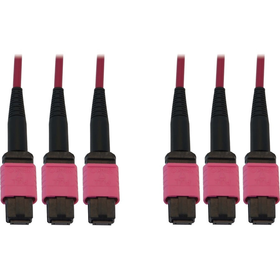 Tripp Lite Fiber Optic Cable 40/100/400G MMF 50 OM4 3x8F MTP/MPO-PC F/F 10M - 32.81 ft Fiber Optic Network Cable for Switch, Patch Panel, Network Device - First End: 3 x MTP/MPO Network - Female - Sec - N858B-10M-3X8MG - eCommerce Business Prime