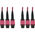 Tripp Lite Fiber Optic Cable 40/100/400G MMF 50 OM4 3x8F MTP/MPO-PC F/F 15M - 49.21 ft Fiber Optic Network Cable for Switch, Patch Panel, Network Device - First End: 3 x MTP/MPO Network - Female - Sec - N858B-15M-3X8MG - eCommerce Business Prime