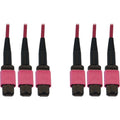 Tripp Lite Fiber Optic Cable 40/100/400G MMF 50 OM4 3x8F MTP/MPO-PC F/F 38M - 124.67 ft Fiber Optic Network Cable for Network Device, Switch, Patch Panel - First End: 3 x MTP/MPO Network - Female - Se - N858B-38M-3X8MG - eCommerce Business Prime