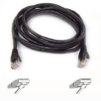 Belkin High Performance Cat.6 UTP Patch Cable - RJ-45 Male - RJ-45 Male - 2ft - A3L980-02-S - eCommerce Business Prime