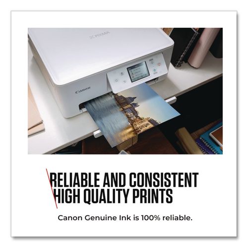 6197C004 (PG-285/CL-286) Ink, Black/Tri-Color - 6197C004 - eCommerce Business Prime