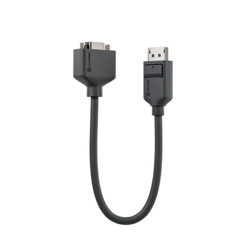 ALOGIC EL2DPVGA-ADP video cable adapter 0.2 m DisplayPort VGA (D-Sub) Black - eCommerce Business Prime