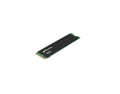 Lenovo 4XB7A82286 internal solid state drive M.2 240 GB Serial ATA III 3D TLC NAND - eCommerce Business Prime