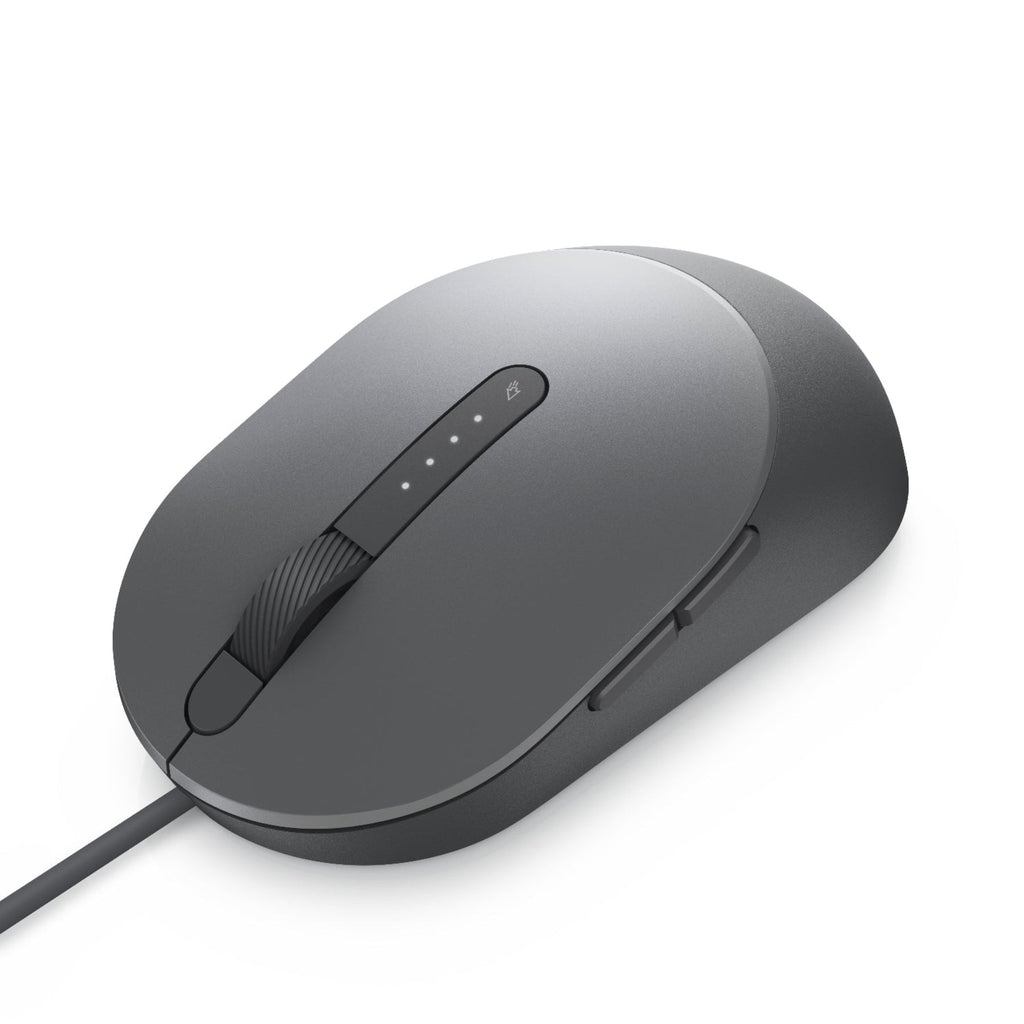 Gray computer mouse on a white background