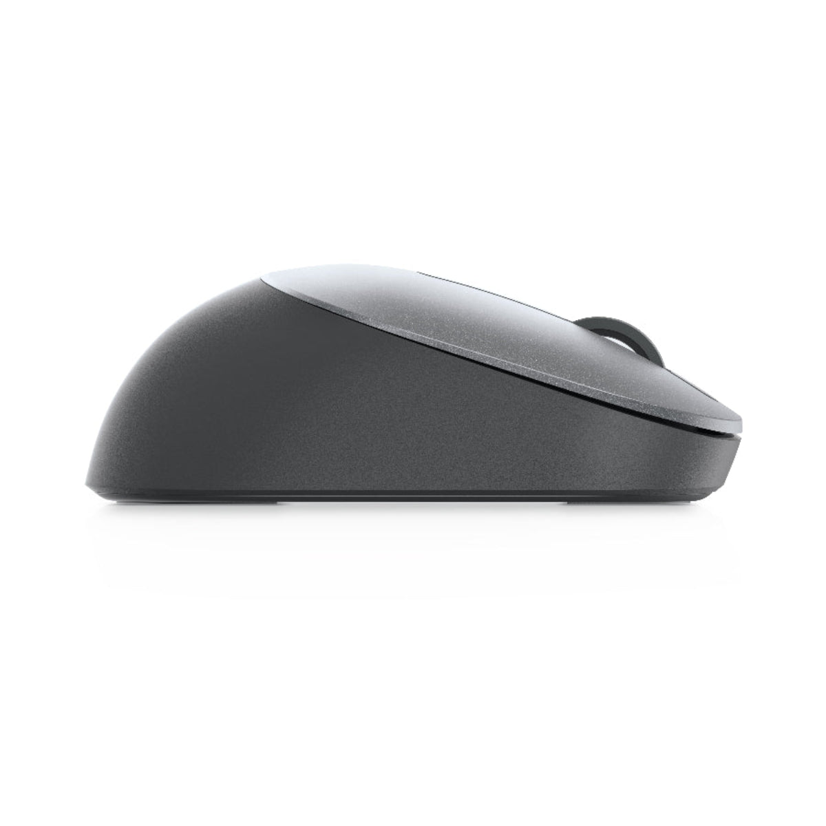 Black computer mouse on a white background