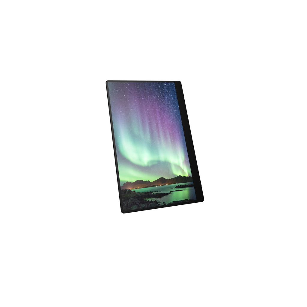 Ricoh Portable Monitor 150 - 514909 - eCommerce Business Prime