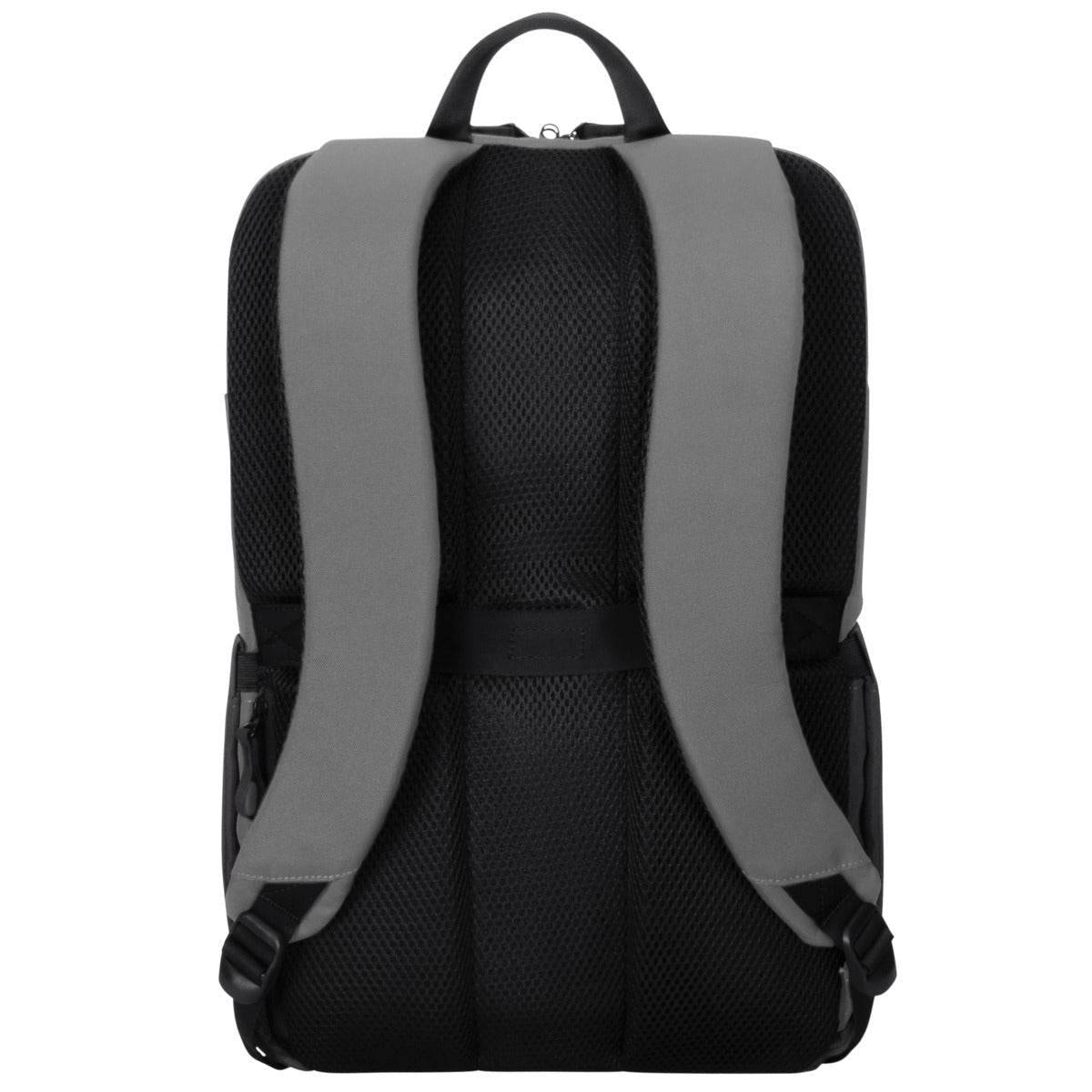 Targus Sagano 39.6 cm (15.6") Backpack Black, Grey TARGUS