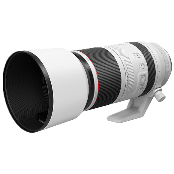 Canon RF 100-500mm F4.5-7.1 L IS USM MILC Super telephoto lens Black, White - 4112C002 - eCommerce Business Prime