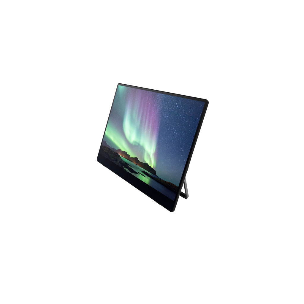 Ricoh Portable Monitor 150BW - 514910 - eCommerce Business Prime