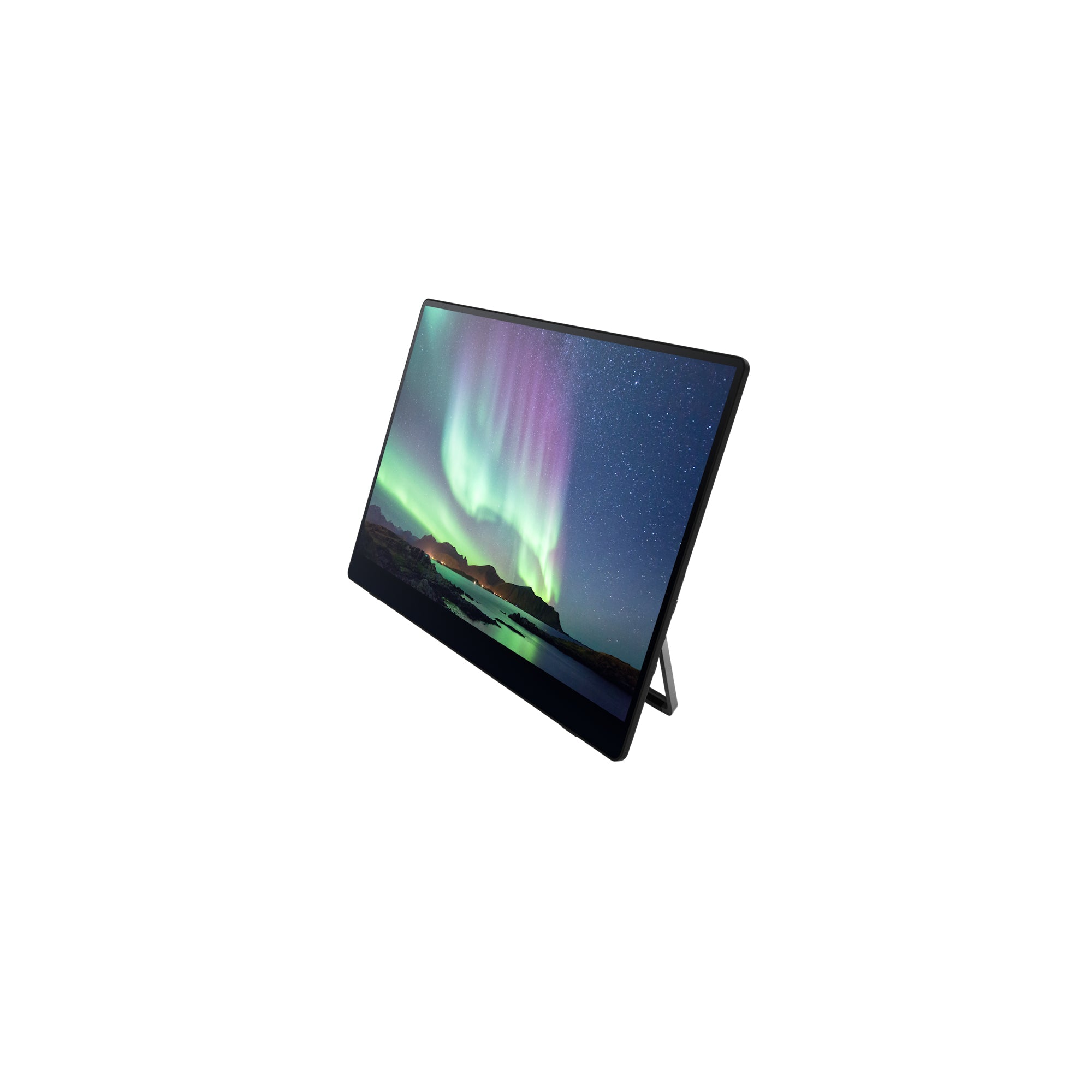Ricoh Portable Monitor 150BW - 514910 - eCommerce Business Prime