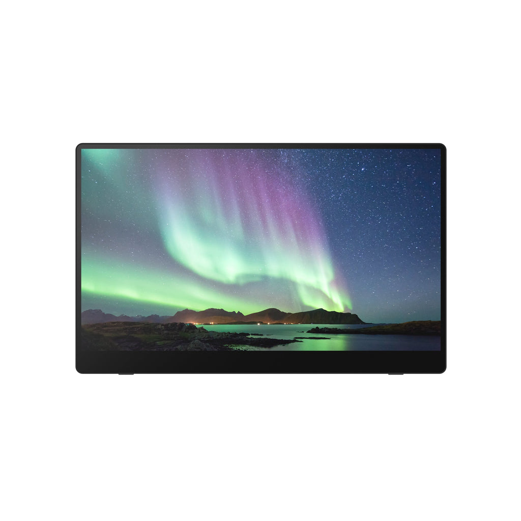 Ricoh Portable Monitor 150 - 514909 - eCommerce Business Prime